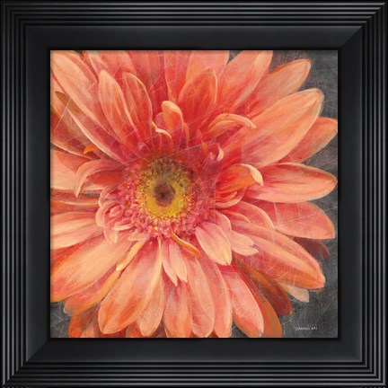Framed Vivid Floral II Crop Print
