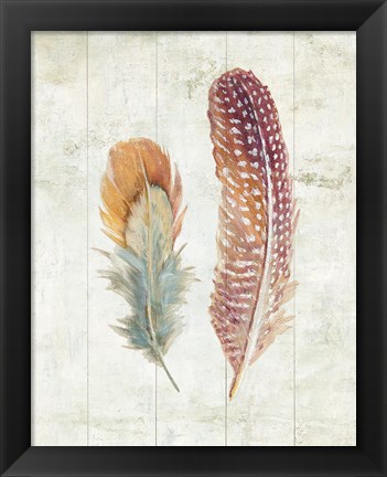 Framed Natural Flora XI Bold Feathers Print