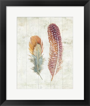 Framed Natural Flora XI Bold Feathers Print