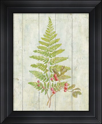Framed Natural Floral XIII Print