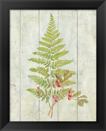 Framed Natural Floral XIII Print