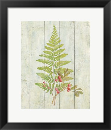 Framed Natural Floral XIII Print