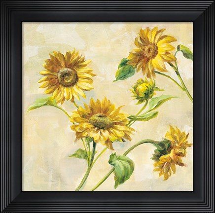 Framed Farm Nostalgia Sunflowers Print
