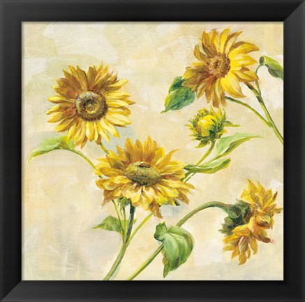 Framed Farm Nostalgia Sunflowers Print