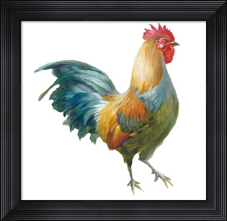 Framed Noble Rooster III on White Print