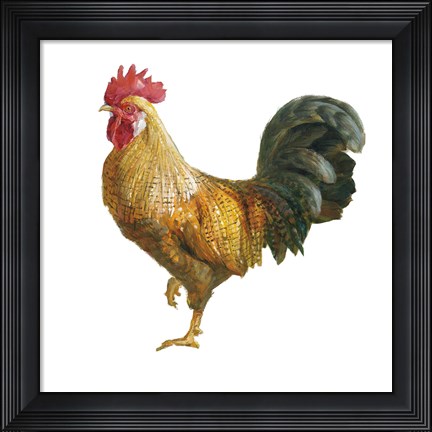 Framed Noble Rooster II on White Print
