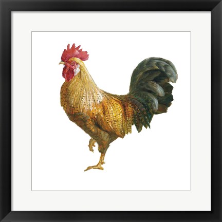 Framed Noble Rooster II on White Print