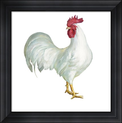 Framed Noble Rooster I on White Print
