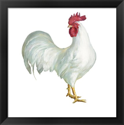 Framed Noble Rooster I on White Print