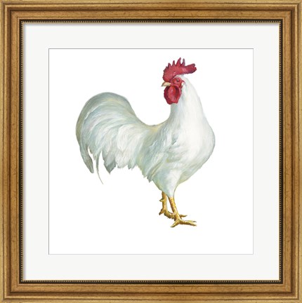 Framed Noble Rooster I on White Print