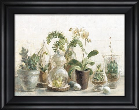 Framed Greenhouse Orchids on Shiplap Print