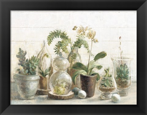 Framed Greenhouse Orchids on Shiplap Print