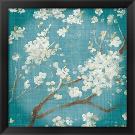 Framed White Cherry Blossoms I on Teal Aged no Bird Print