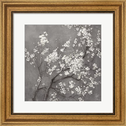 Framed White Cherry Blossoms I on Grey Crop Print