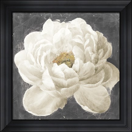 Framed Vivid Floral I White Flower Print