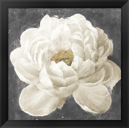 Framed Vivid Floral I White Flower Print