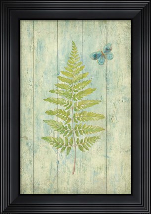 Framed Natural Floral XIII Butterfly Print