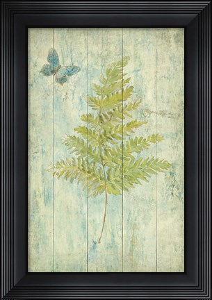 Framed Natural Floral XII Butterfly Print