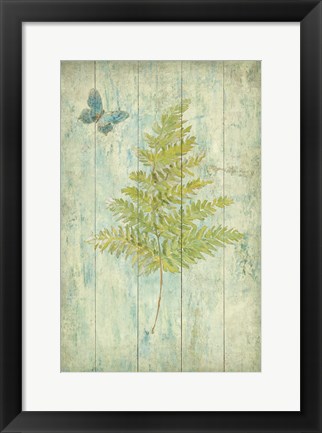 Framed Natural Floral XII Butterfly Print