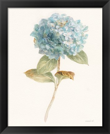 Framed Garden Hydrangea Print