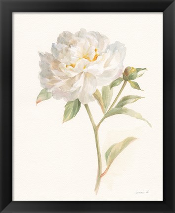 Framed Garden Peony Print