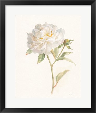 Framed Garden Peony Print