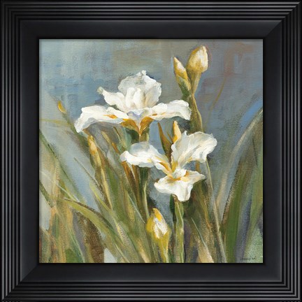Framed Spring Iris II Print