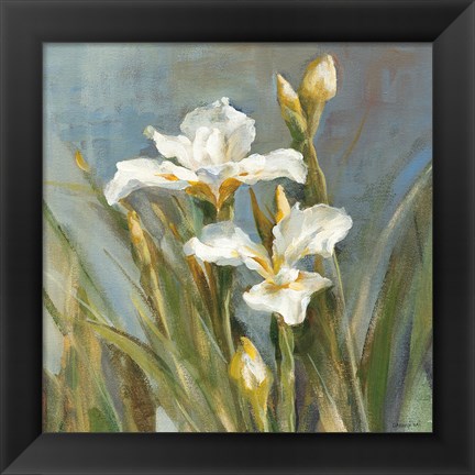 Framed Spring Iris II Print