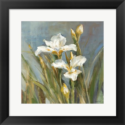 Framed Spring Iris II Print