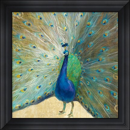 Framed Blue Peacock Cream Print