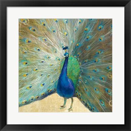 Framed Blue Peacock Cream Print