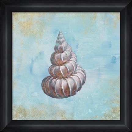 Framed Treasures from the Sea II Watercolor Print