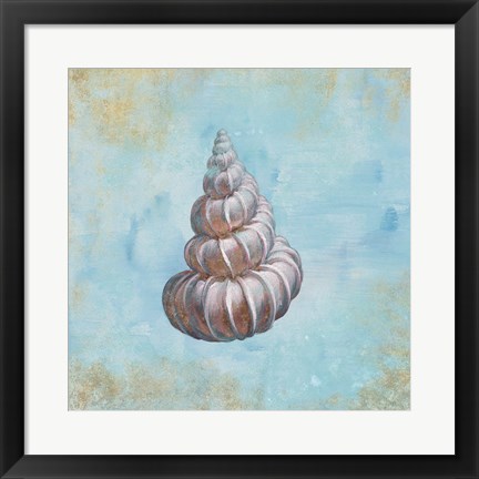 Framed Treasures from the Sea II Watercolor Print