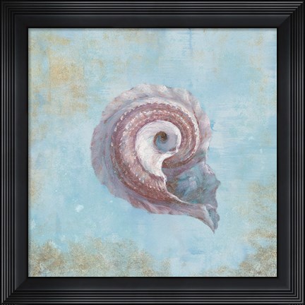 Framed Treasures from the Sea III Watercolor Print