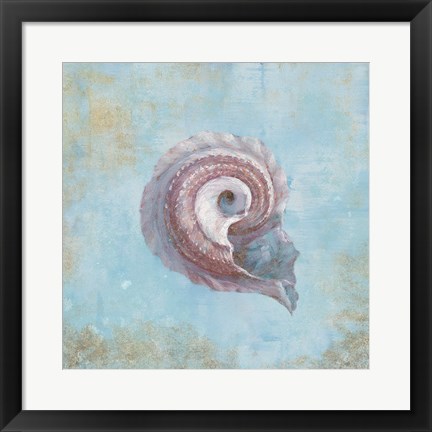 Framed Treasures from the Sea III Watercolor Print