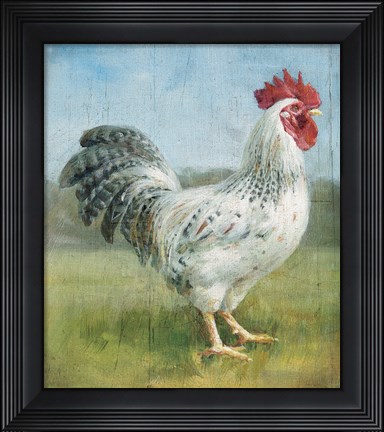 Framed Noble Rooster IV v.2 Vintage No Border Print