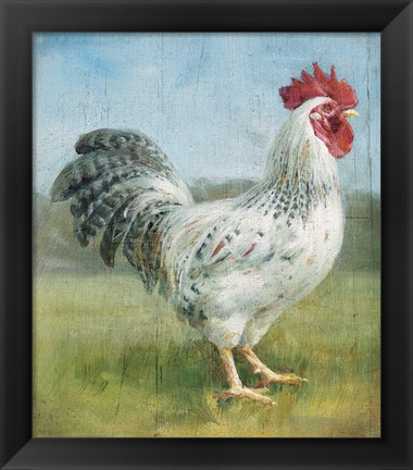 Framed Noble Rooster IV v.2 Vintage No Border Print