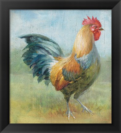 Framed Noble Rooster III Vintage No Border Print