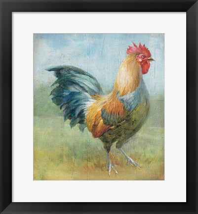 Framed Noble Rooster III Vintage No Border Print