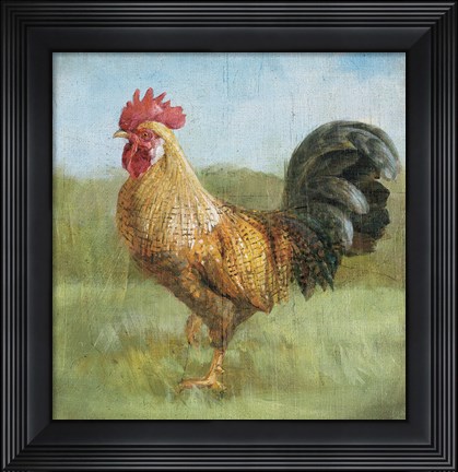 Framed Noble Rooster II Vintage No Border Print