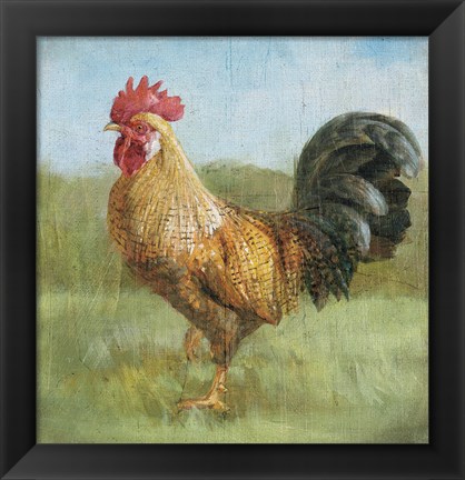 Framed Noble Rooster II Vintage No Border Print