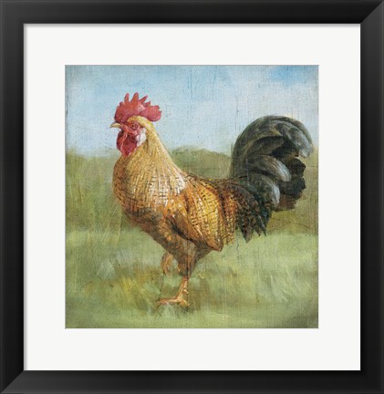 Framed Noble Rooster II Vintage No Border Print