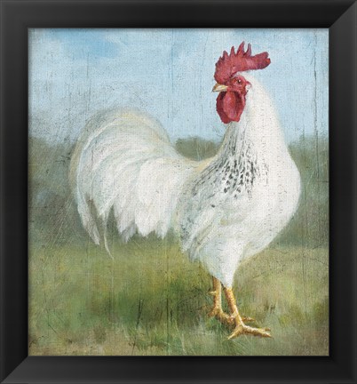 Framed Noble Rooster I Vintage No Border Print