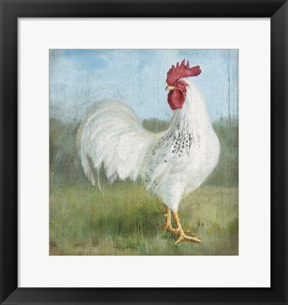 Framed Noble Rooster I Vintage No Border Print