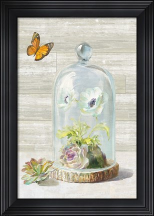 Framed Succulent Garden I Crop Print