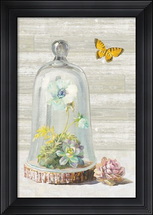 Framed Succulent Garden II Panel Print