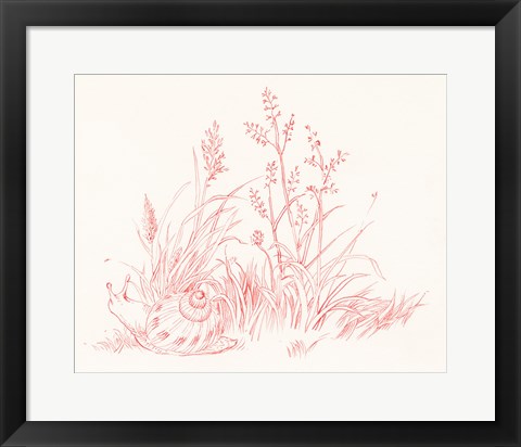Framed Farm Nostalgia Flowers VII Print