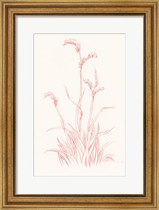 Framed Farm Nostalgia Flowers V Print