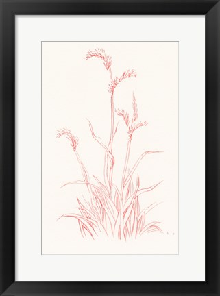 Framed Farm Nostalgia Flowers V Print