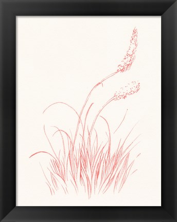 Framed Farm Nostalgia Flowers IV Print